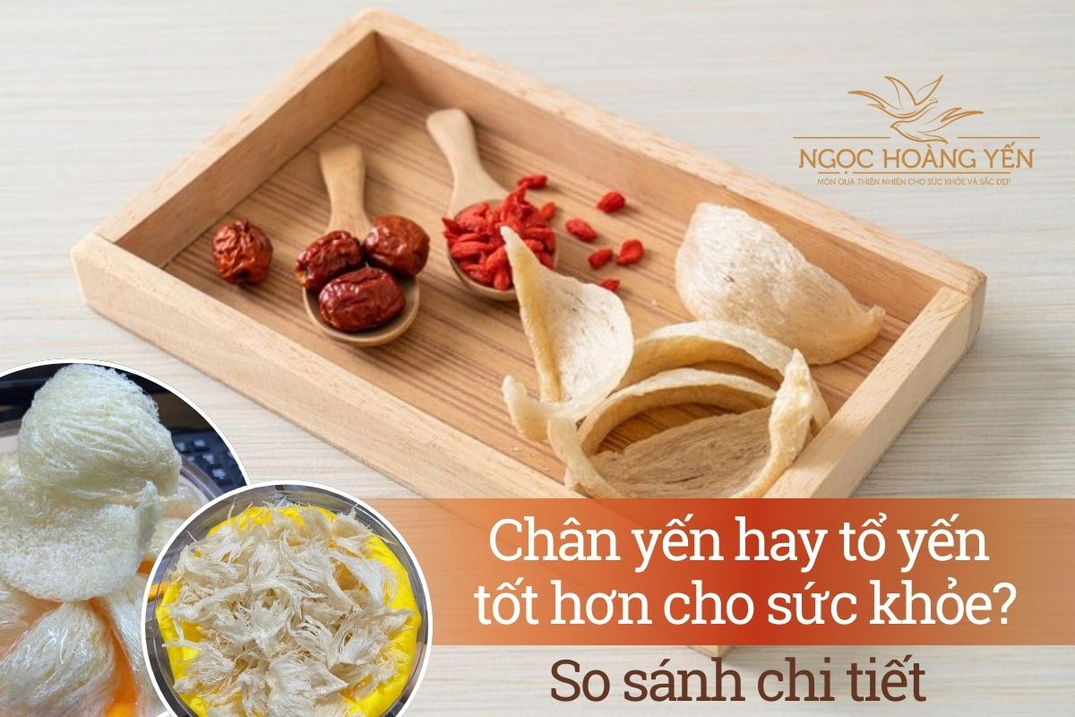 Chân yến hay tổ yến tốt hơn cho sức khỏe? So sánh chi tiết