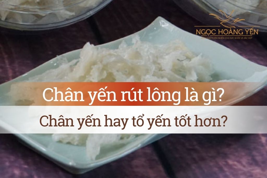 Chân yến rút lông là gì? Chân yến hay tổ yến tốt hơn?