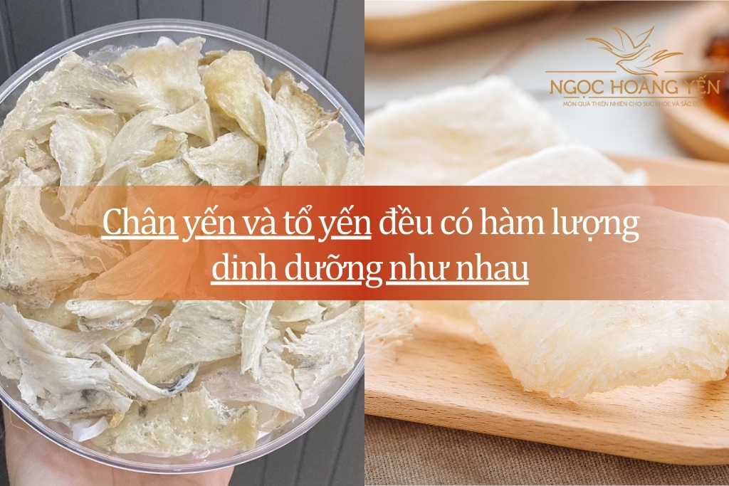 Chân yến và tổ yến đều có hàm lượng dinh dưỡng như nhau