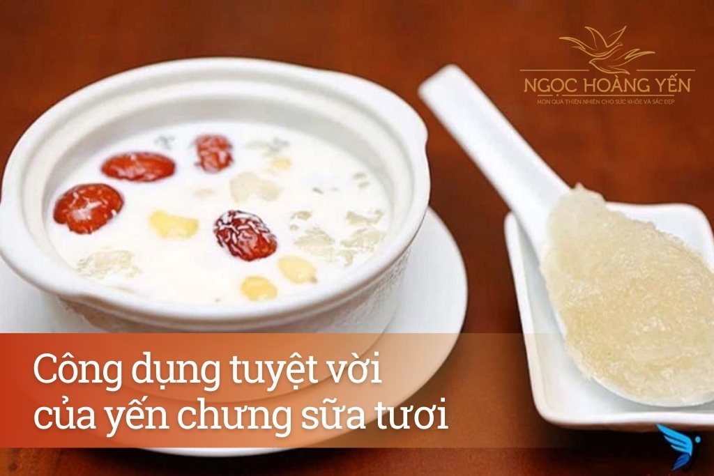 Công dụng tuyệt vời của yến chưng sữa tươi