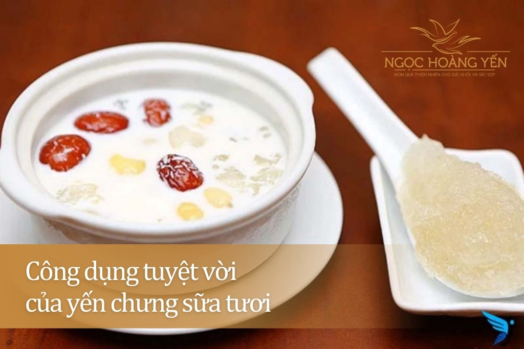 Công dụng tuyệt vời của yến chưng sữa tươi