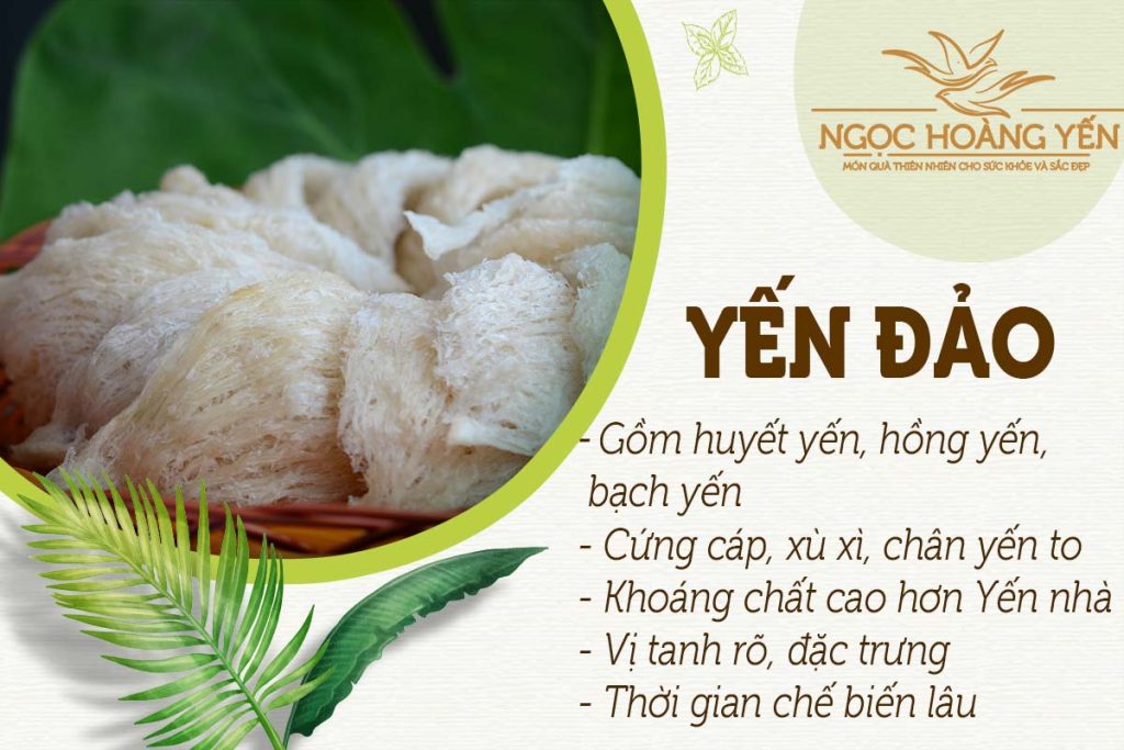 Đặc điểm của yến đảo