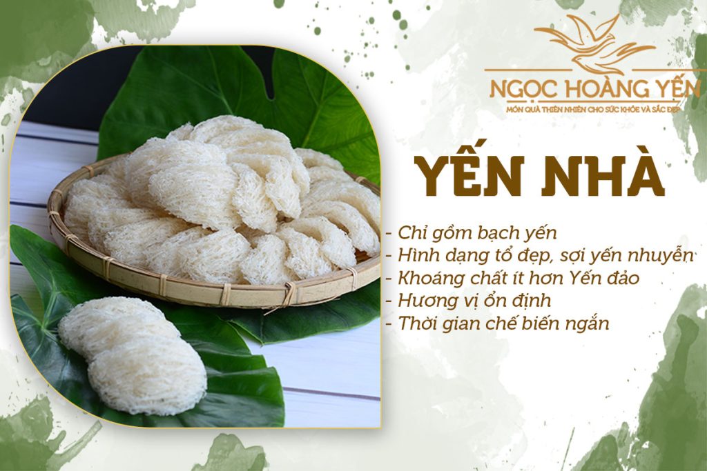 Đặc điểm của yến nhà