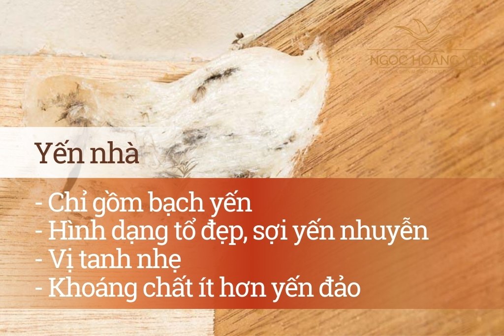Đặc điểm yến nhà