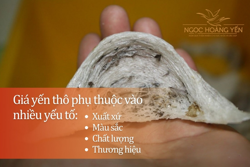 Giá yến thô phụ thuộc vào nhiều yếu tố