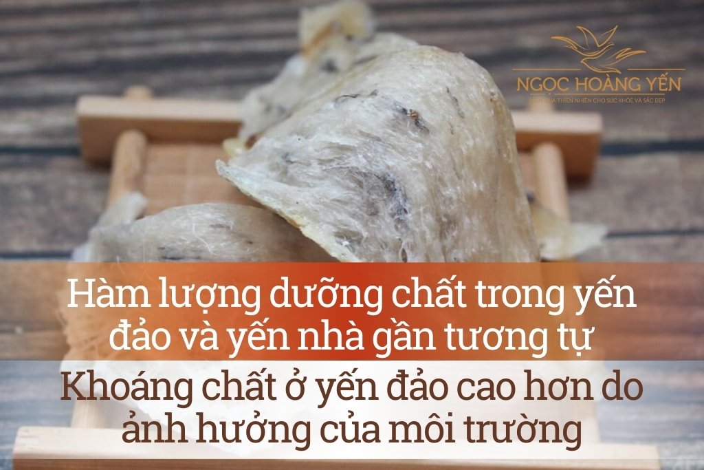 Hàm lượng dưỡng chất trong yến đảo và yến nhà