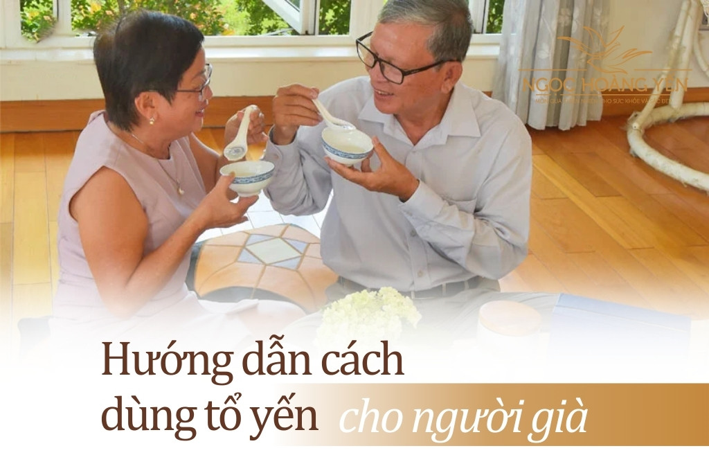 Hướng dẫn cách dùng tổ yến cho người già