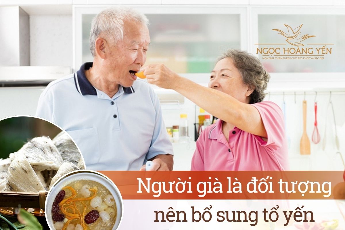 Người già là đối tượng nên bổ sung tổ yến