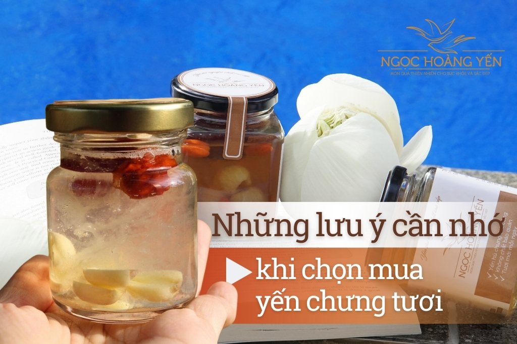 Những lưu ý cần nhớ khi chọn mua yến chưng tươi
