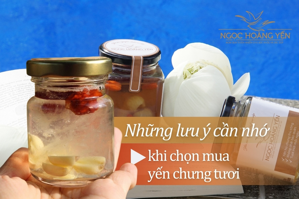 Những lưu ý cần nhớ khi chọn mua yến chưng tươi