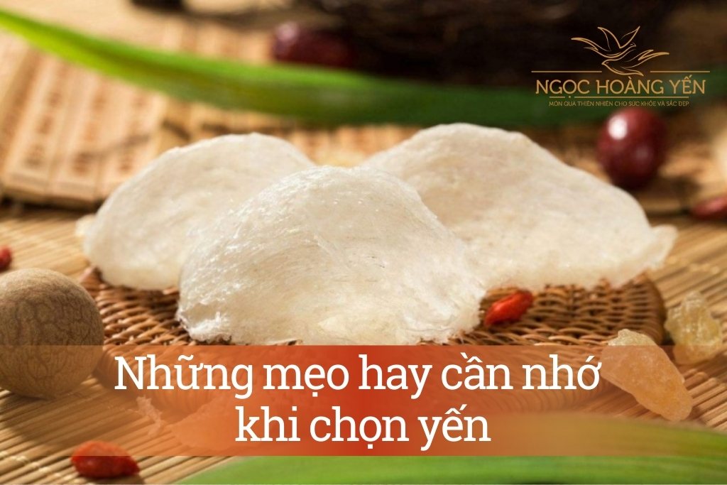 Những mẹo hay cần nhớ khi chọn yến