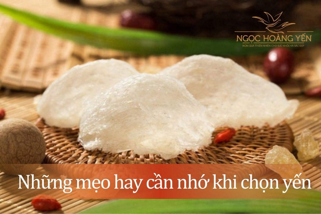 Những mẹo hay cần nhớ khi chọn yến 