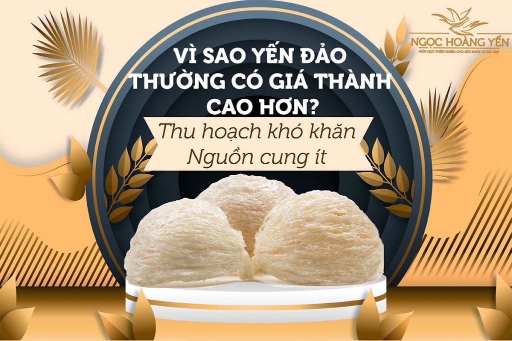 Vì sao yến đảo thường có giá thành cao hơn yến nuôi?