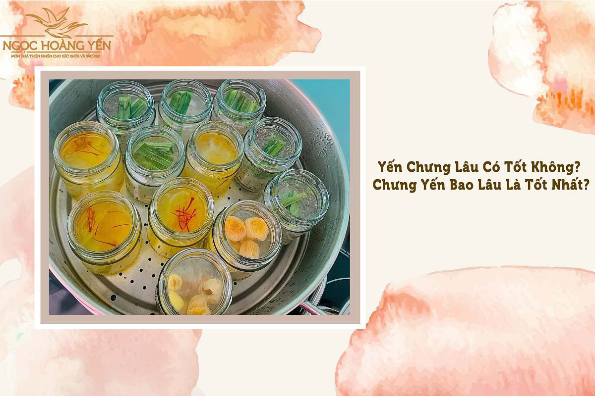 Yến chưng lâu có tốt không? Chưng yến bao lâu là tốt nhất?