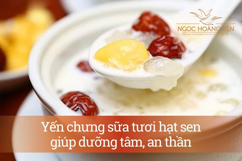 Yến chưng sữa tươi hạt sen giúp dưỡng tâm, an thần