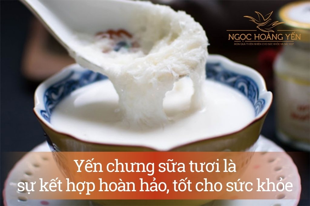 Yến chưng sữa tươi là sự kết hợp hoàn hảo, tốt cho sức khỏe
