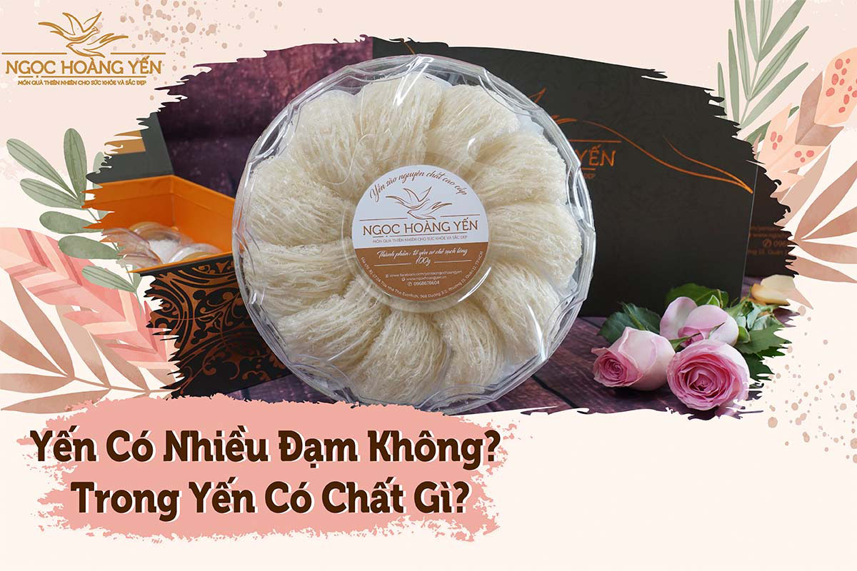 Yến có nhiều đạm không? Trong yến có chất gì?