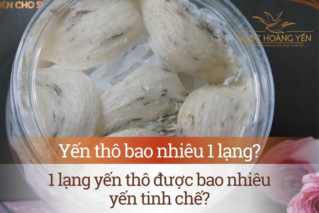Yến thô bao nhiêu 1 lạng? 1 lạng yến thô được bao nhiêu yến tinh chế?