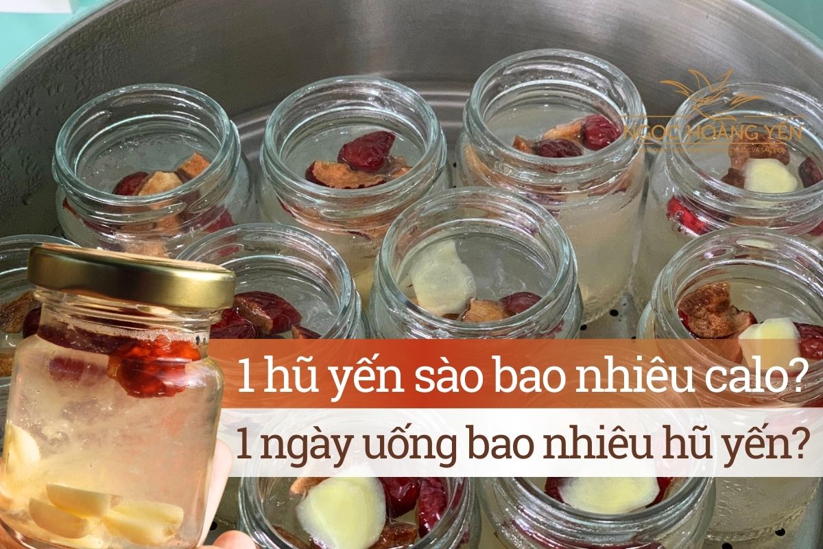 1 hũ yến sào bao nhiêu calo? 1 ngày uống bao nhiêu hũ yến?