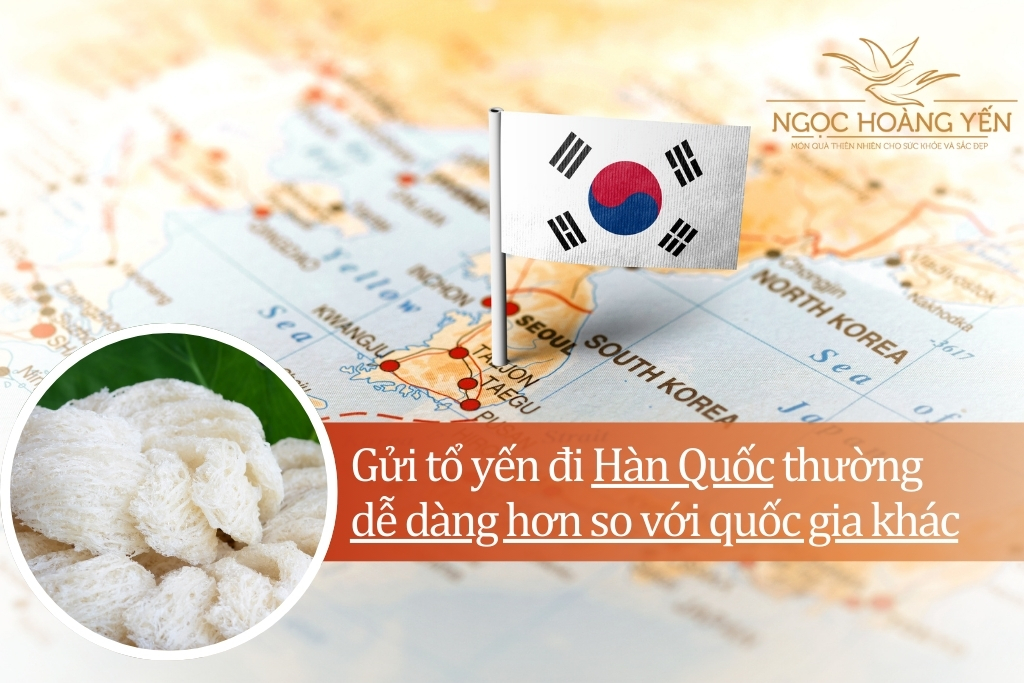 Gửi tổ yến đi Hàn Quốc thường dễ dàng hơn so với quốc gia khác