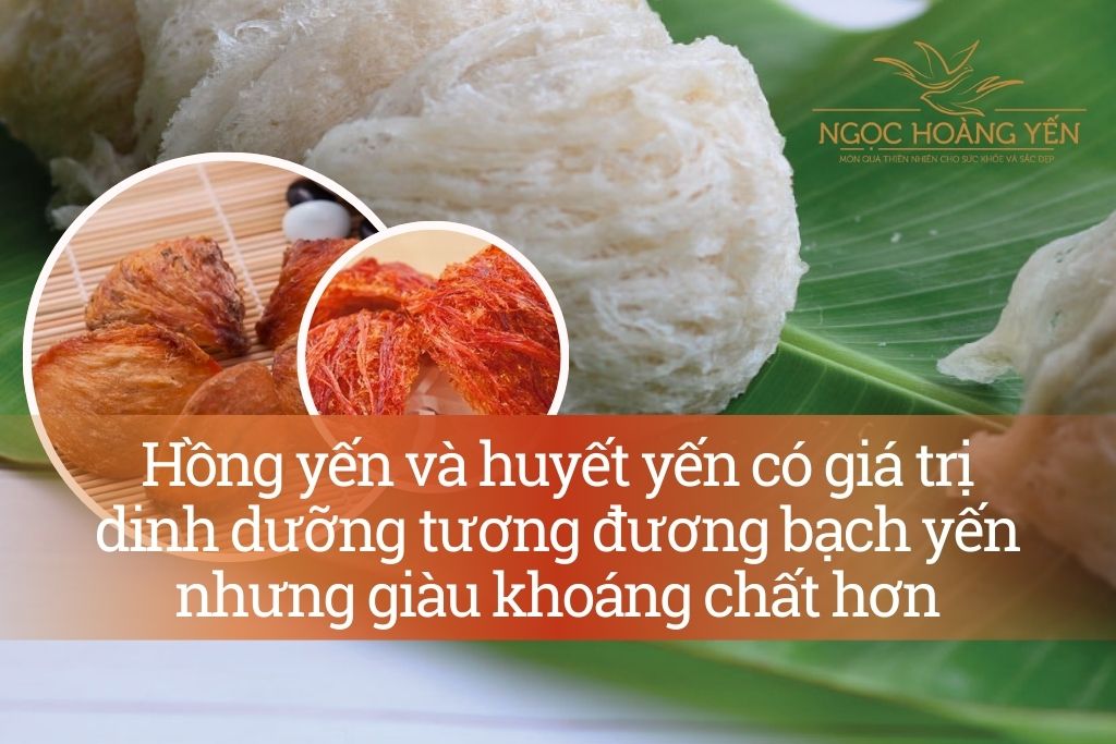 Hồng yến và huyết yến có giá trị dinh dưỡng tương đương bạch yến