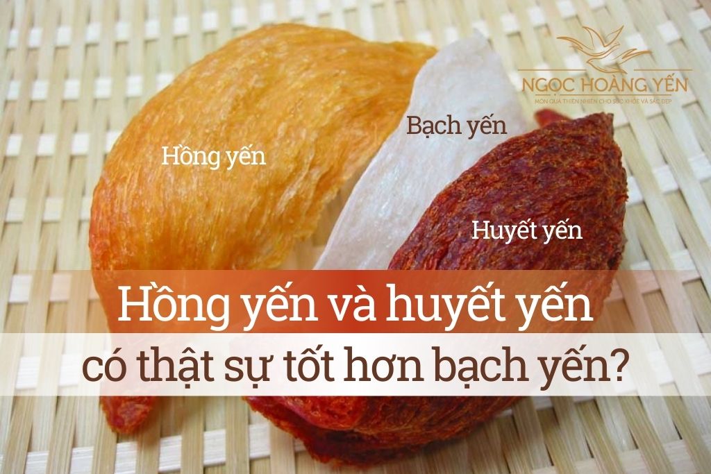 Hồng yến và Huyết yến có thật sự tốt hơn Bạch yến?