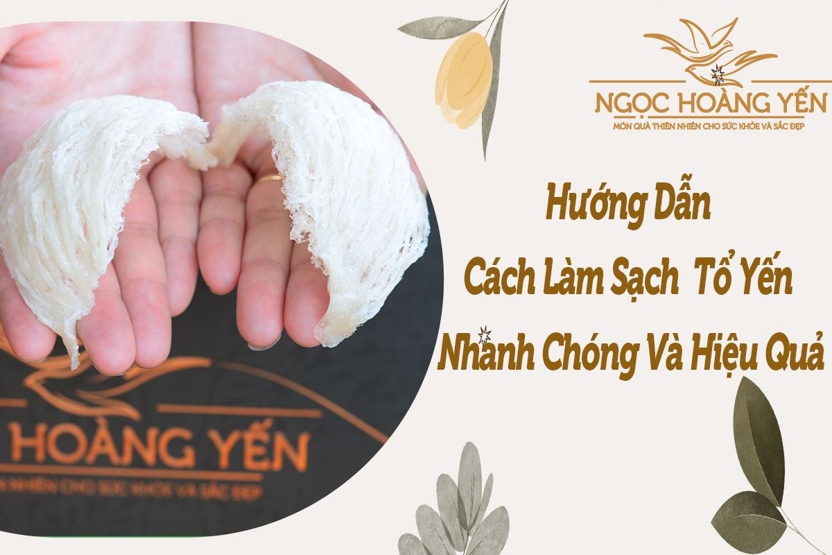 Hướng dẫn cách làm sạch tổ yến nhanh chóng và hiệu quả