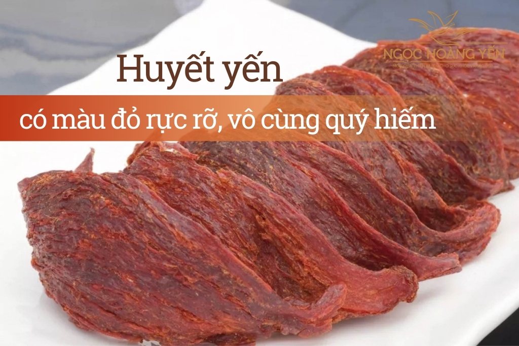 Huyết yến có màu đỏ rực rỡ, vô cùng quý hiếm