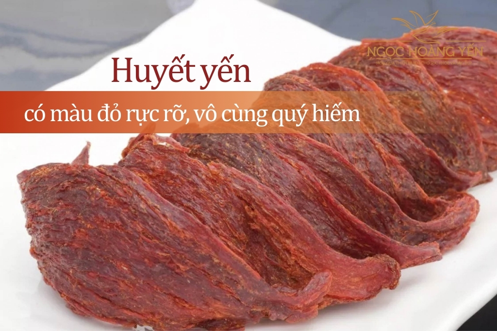 Huyết yến có màu đỏ rực rỡ, vô cùng quý hiếm