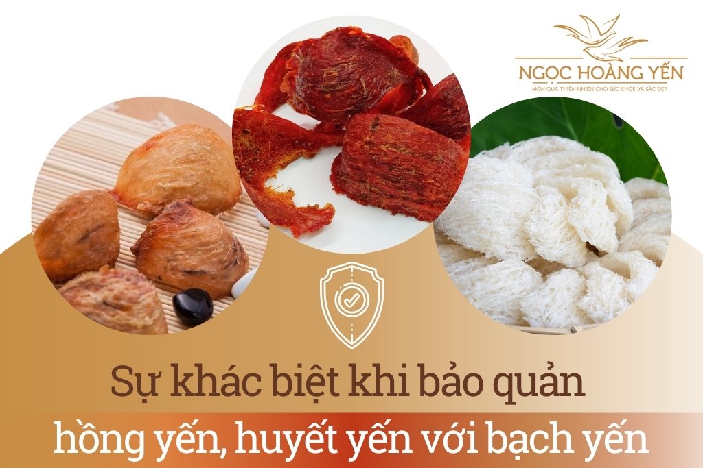 Sự khác biệt khi bảo quản hồng yến/ huyết yến với bạch yến