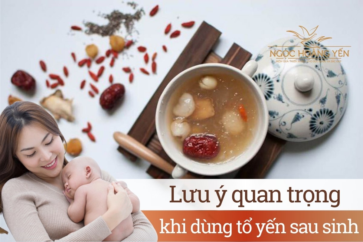 Lưu ý quan trọng khi dùng tổ yến sau sinh