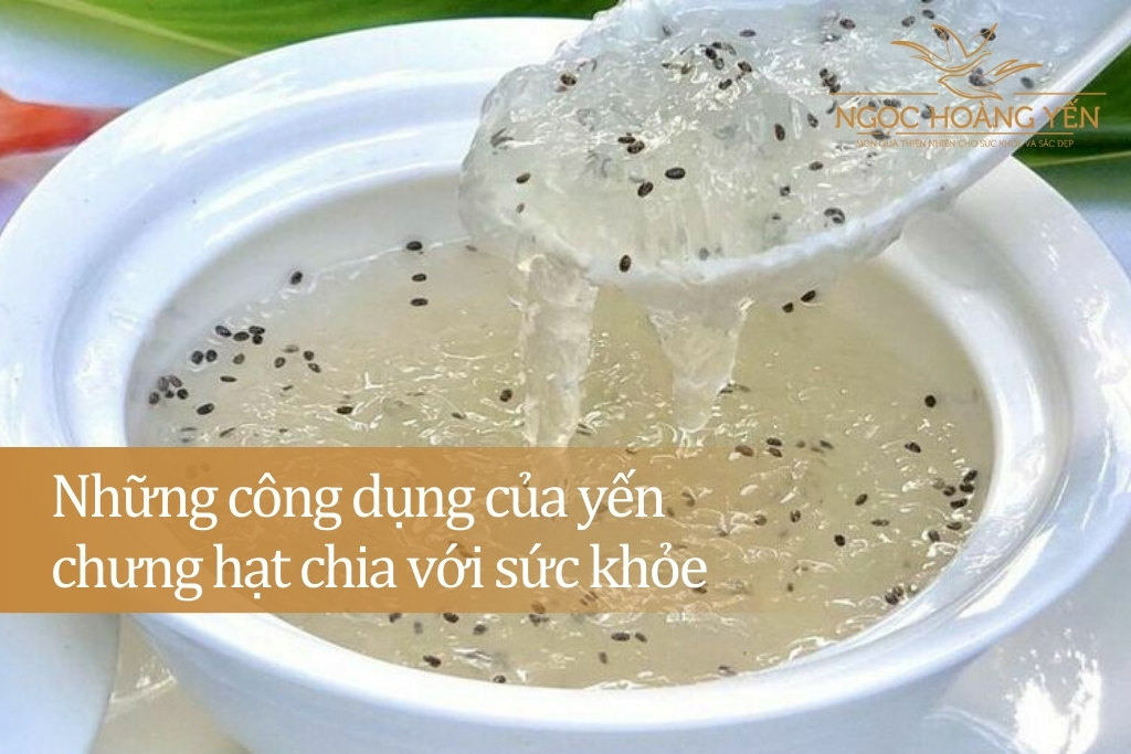 Những công dụng của yến chưng hạt chia với sức khỏe