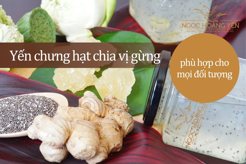 Yến chưng hạt chia vị gừng phù hợp cho mọi đối tượng