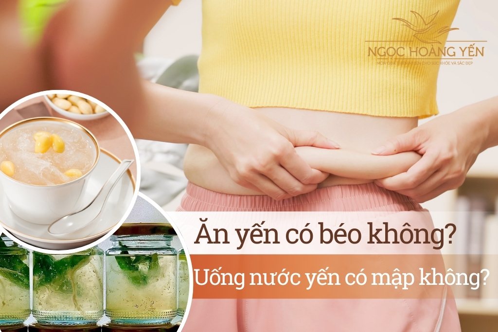 Ăn yến có béo không? Uống nước yến có mập không?