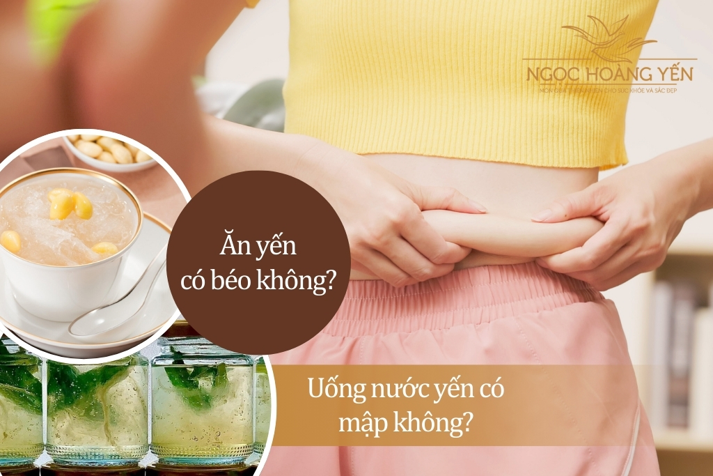 Ăn yến có béo không? Uống nước yến có mập không?