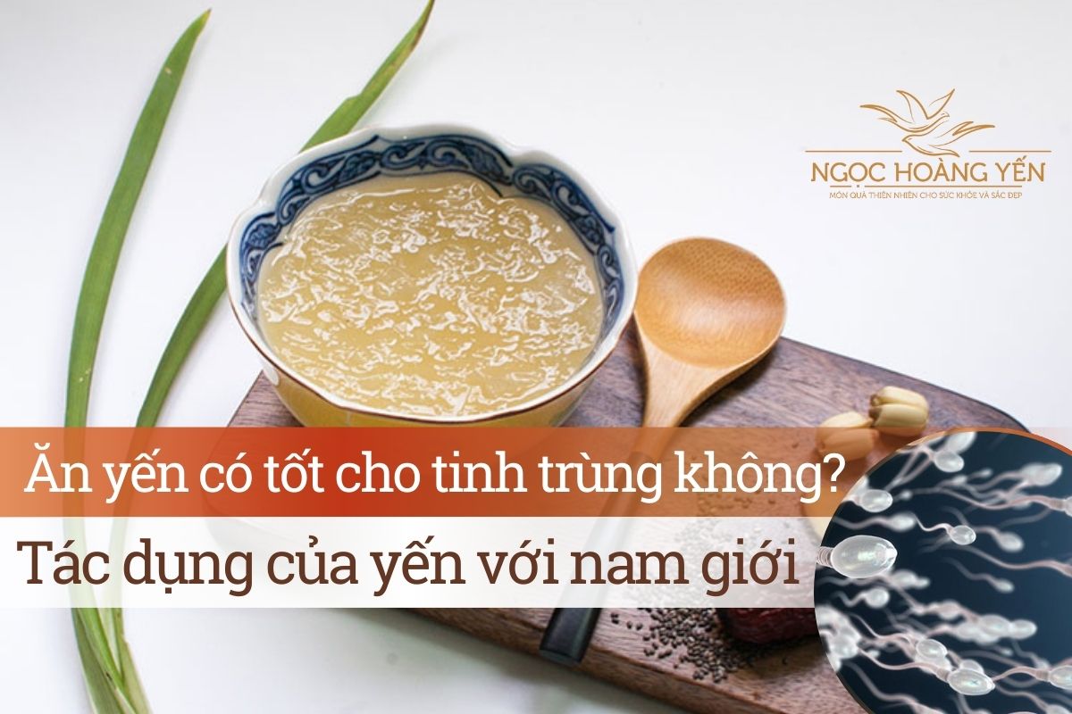 Ăn yến có tốt cho tinh trùng không? Tác dụng của yến với nam giới