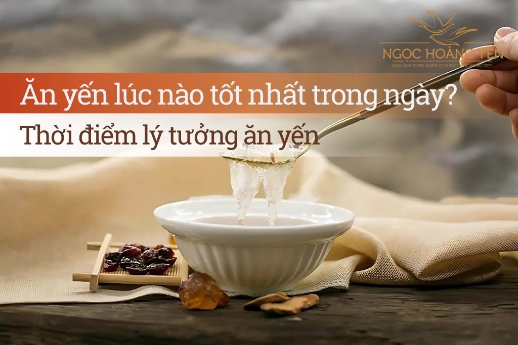 Ăn yến lúc nào tốt nhất trong ngày? Thời điểm lý tưởng ăn yến