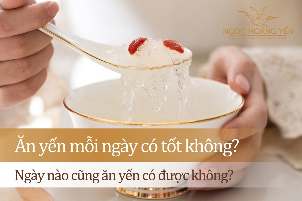 Ăn yến mỗi ngày có tốt không? Ngày nào cũng ăn yến có được không?