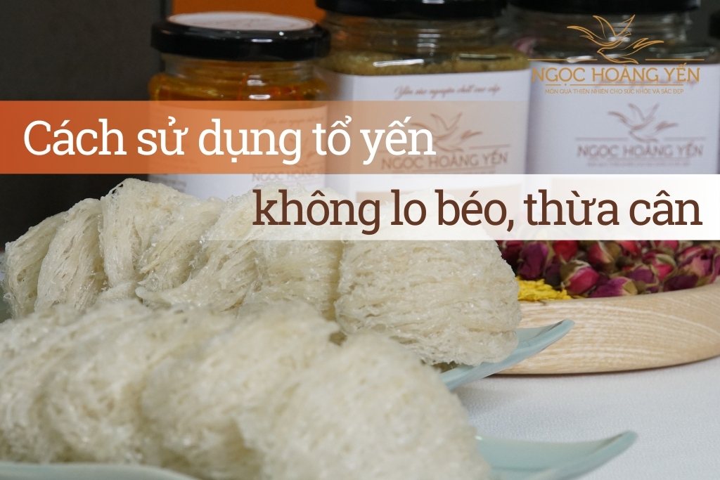 Cách sử dụng tổ yến không lo béo, thừa cân