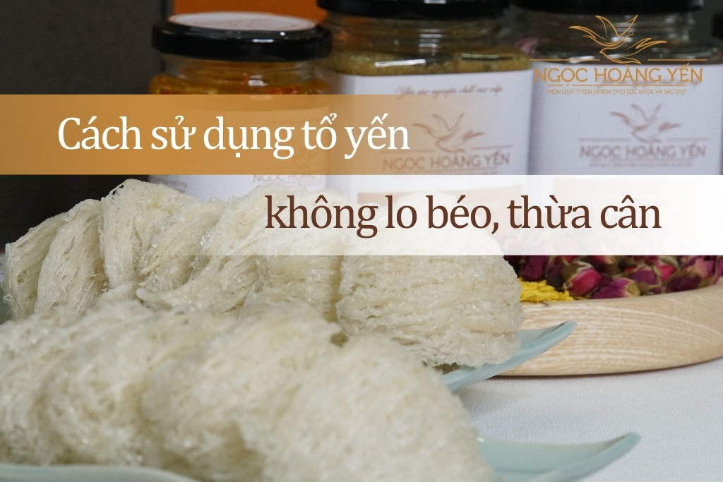 Cách sử dụng tổ yến không lo béo, thừa cân