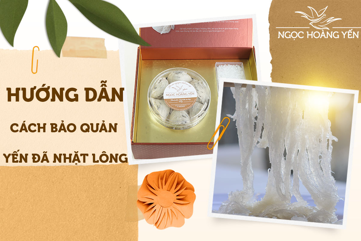 Hướng dẫn cách bảo quản yến đã nhặt lông