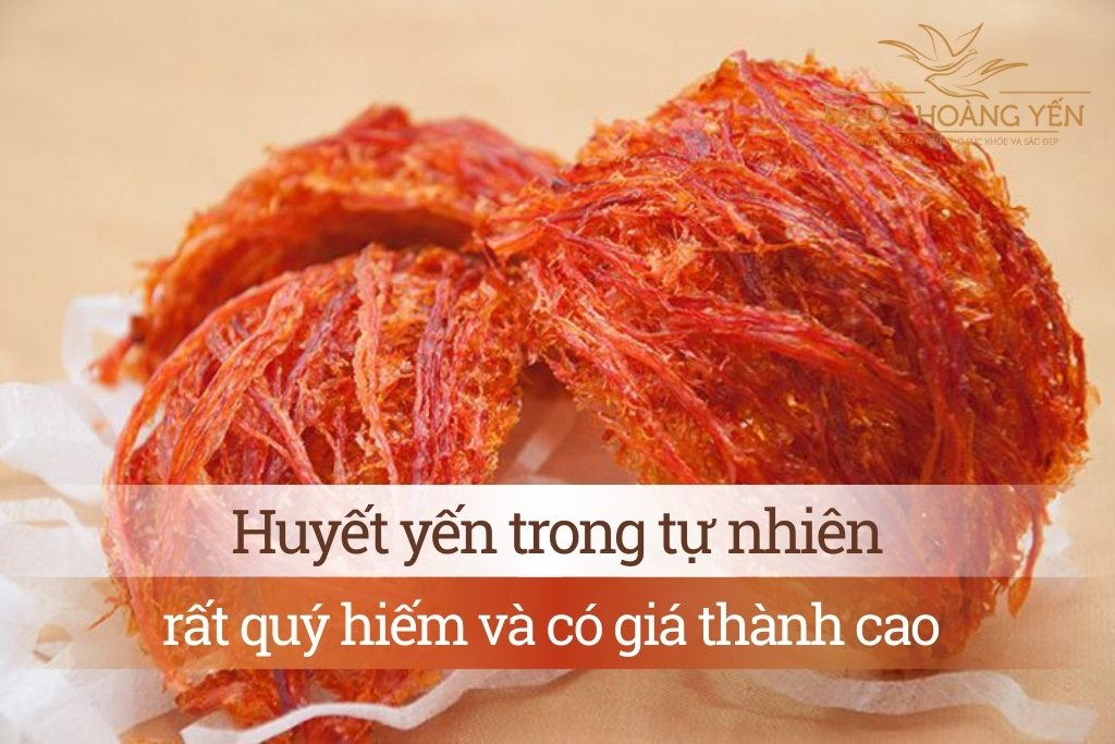 Huyết yến trong tự nhiên rất quý hiếm và có giá thành cao