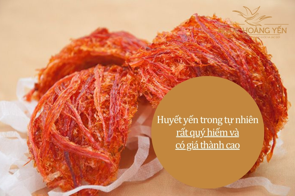 Huyết yến trong tự nhiên rất quý hiếm và có giá thành cao