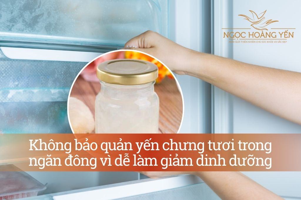 Không bảo quản yến chưng tươi trong ngăn đông vì dễ làm giảm dinh dưỡng
