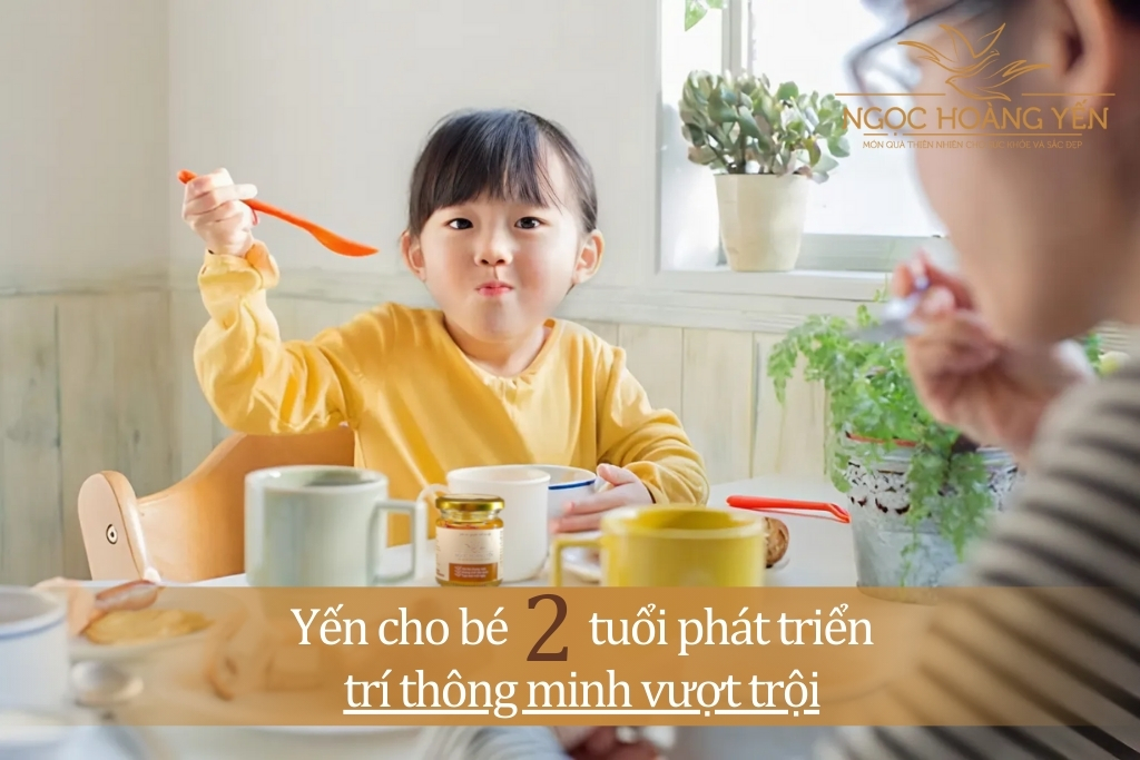 Yến sào cho bé 2 tuổi phát triển trí thông minh vượt trội