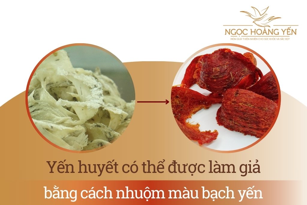 Yến huyết có thể được làm giả bằng cách nhuộm màu bạch yến