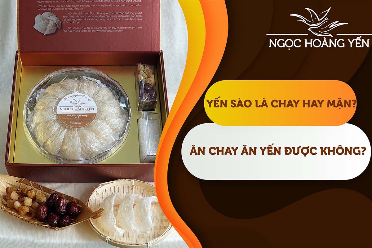 Yến sào là chay hay mặn? Ăn chay ăn yến được không?