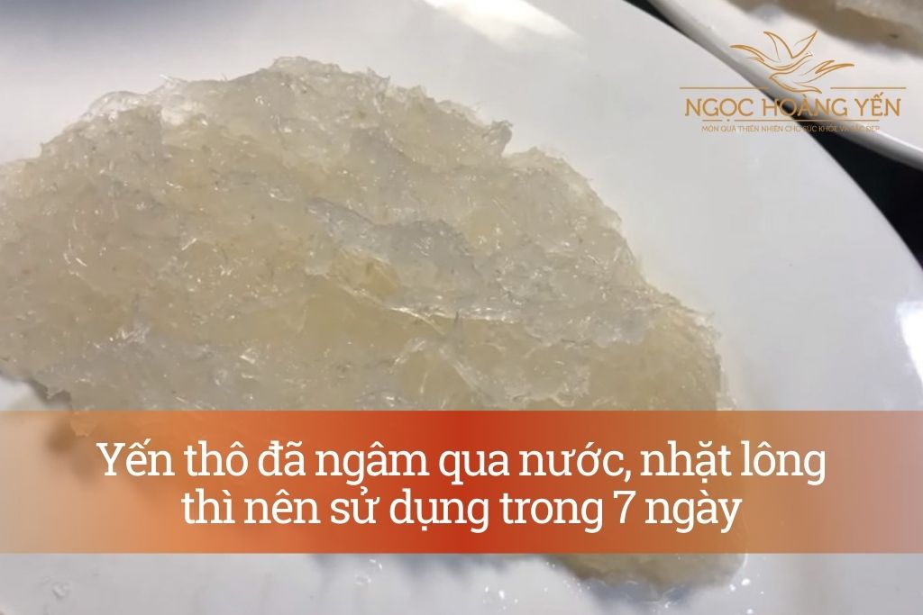 Yến thô đã ngâm qua nước, nhặt lông thì nên sử dụng trong 7 ngày