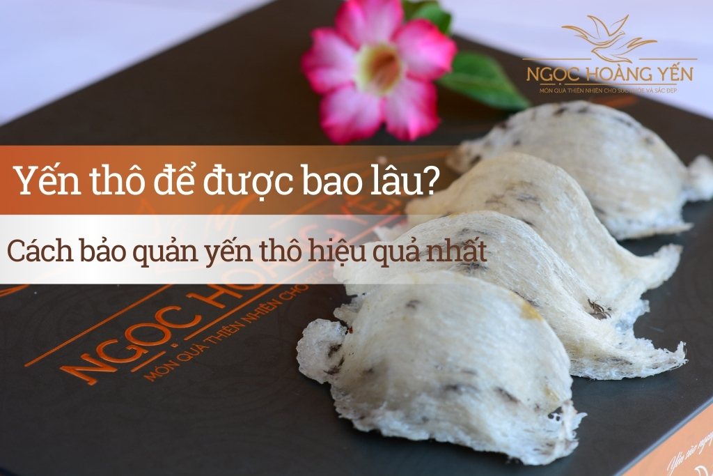 Yến thô để được bao lâu? Cách bảo quản yến thô hiệu quả nhất