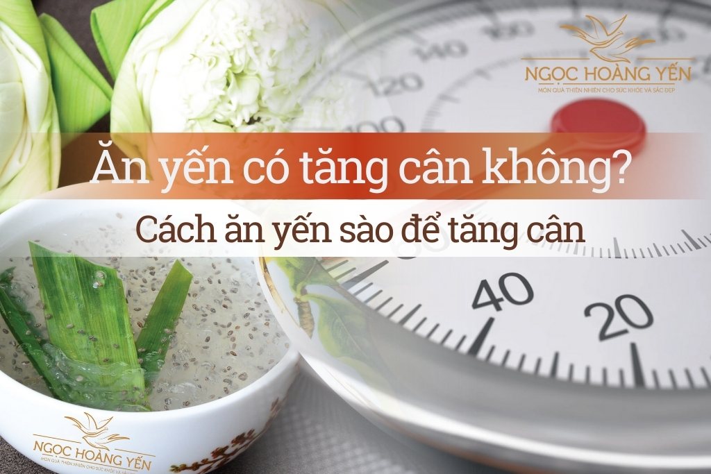 Ăn yến có tăng cân không? Cách ăn yến sào để tăng cân